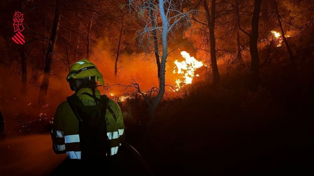 Sobre l’incendi forestal en Venta del Moro