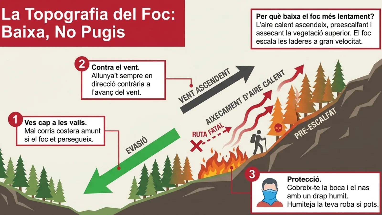 Vessant que mostra com el foc puja preescalfant la vegetació, amb la ruta d'evasió cap avall i la ruta fatal cap amunt.